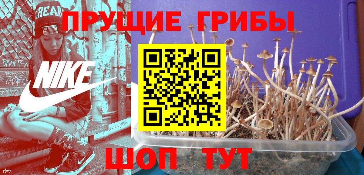 где купить наркоту  Галлюциногенные грибы мицелий  Вход с VPN  Снежинск 